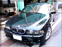 ダークグリーン