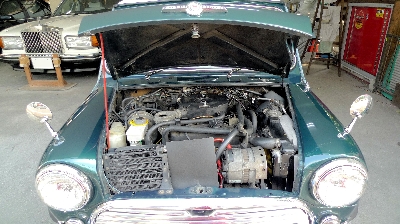 mini